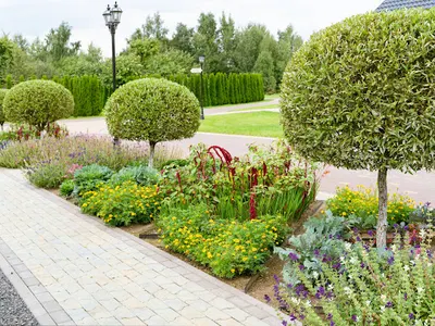 Projektowanie ogrodów w Kaliszu, Usługi Ogrodnicze, Wynajem sprzętu - MG-OGRODY